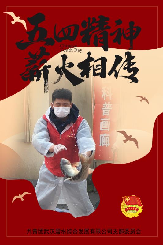 汪鑫.jpg